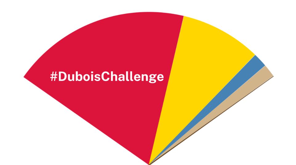 „Du Bois Challenge“ wird in einem neuen Fenster geöffnet